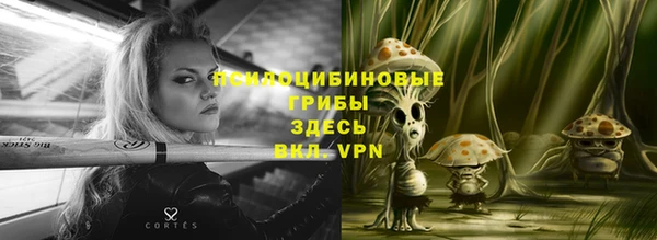 дживик Армянск