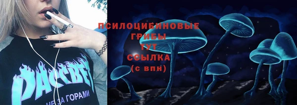 дживик Армянск