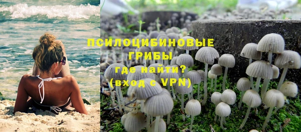 не бодяженный Аркадак